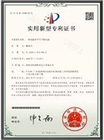 Patent